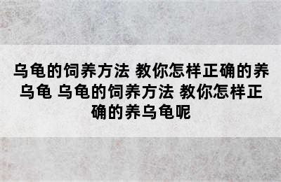 乌龟的饲养方法 教你怎样正确的养乌龟 乌龟的饲养方法 教你怎样正确的养乌龟呢